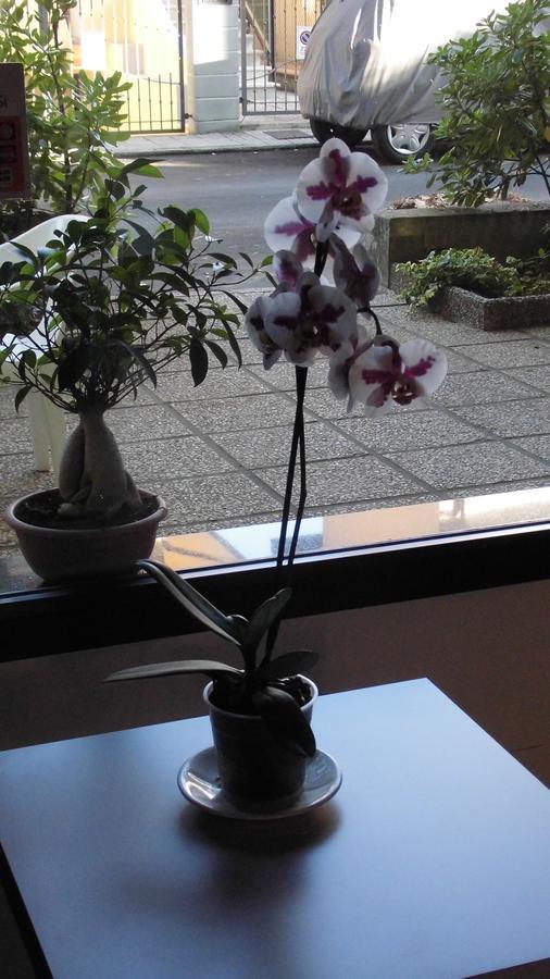 Hotel Elde Riccione Extérieur photo